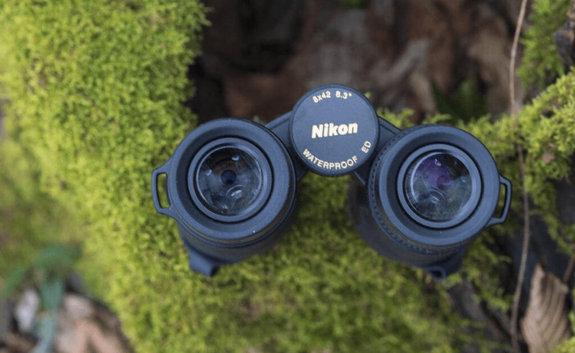 Nikon 8x42 Monarch HG bestes 8x42-Fernglas für das Geld