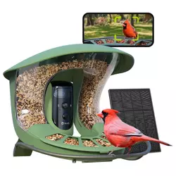 Birdfy 2 Bird Feeder
