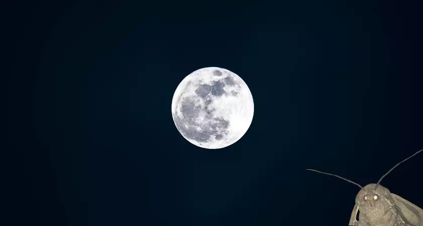 В Китае хотят запустить «искусственную луну» для освещения городских улиц