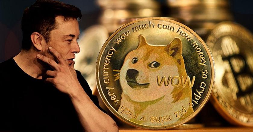 Dogecoin went up 26% after a photo of Elon Musk's dog was published on Twitter