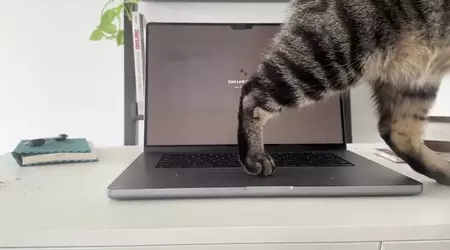 Cats Lock : l'application macOS à 2,99 € qui protège votre clavier des griffes de votre chat