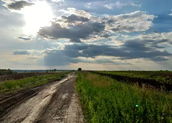 Завод Nemiroff и Бакота: снято на ASUS Zenfone 5