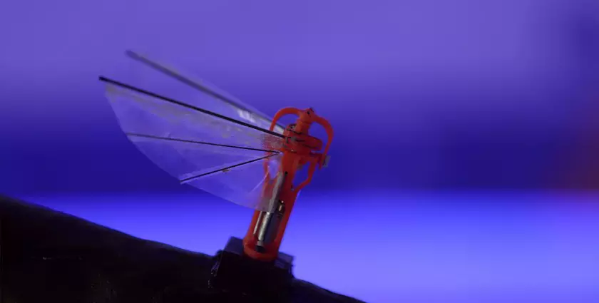 ASELSAN представила разведывательный микро-дрон, который напоминает стрекозу
