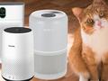 post_big/Best_Air_Purifiers_for_Cats_4-min.jpg