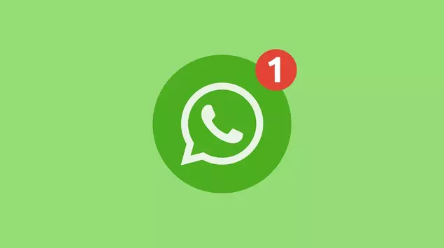 WhatsApp Rolls Out Username Feature to ...