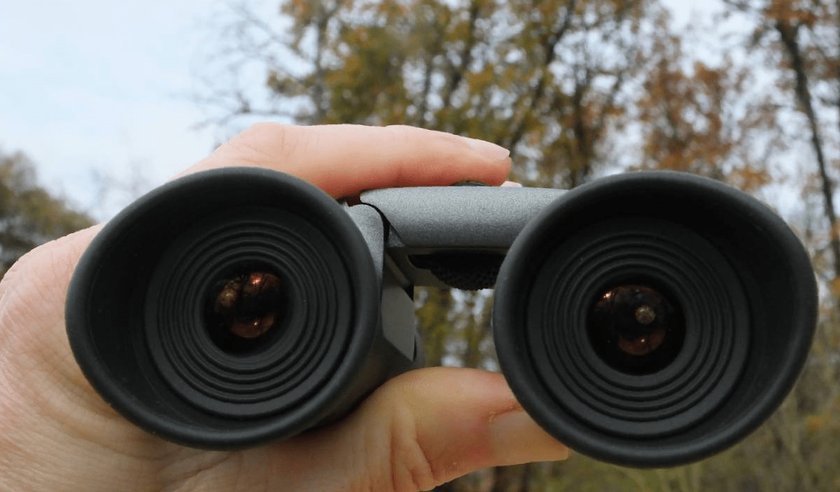 Steiner BluHorizons 10x26 binoculars for glasses wearers