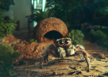 The spider fell in love with the Galaxy S22 Ultra – Samsung published a funny ad for new items