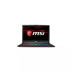 MSI GP73 8RE Leopard Black (GP738RE-659UA)