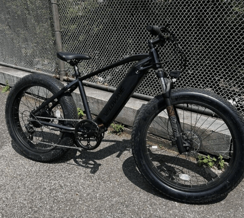 VELOWAVE Mountain EBike for delivery job 