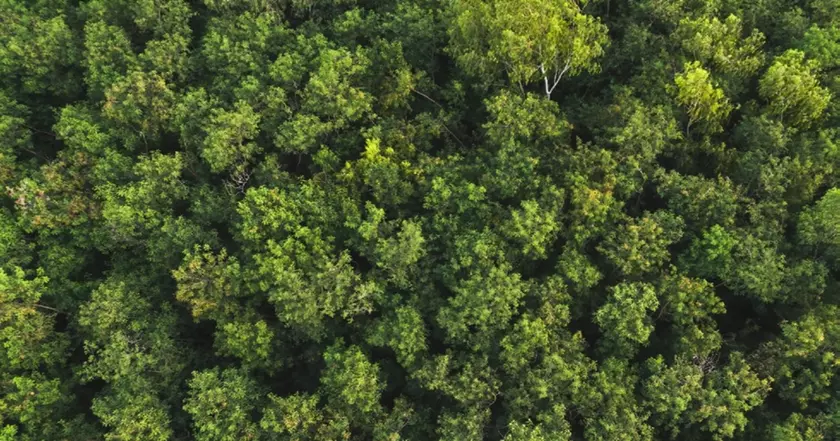 Солнечные станции и переработанный пластик: как Samsung продвигает экологическую деятельность