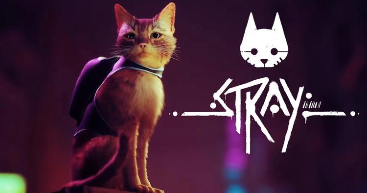 Гра дня: Stray — кіберпанкова подорож ...