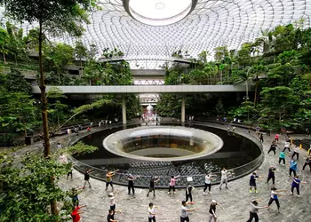 В сети признали лучшие аэропорты мира для еды и напитков