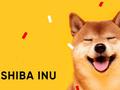 Пользователь инвестировал $8 000 в криптовалюту Shiba Inu и заработал более $5 000 000 000