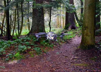 Дроны научатся находить в лесу потерявшихся туристов