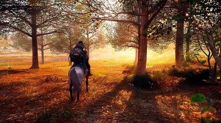 Crimson Desert impresses with realistic graphics and advanced physics model: developers revealed the engine features of the ambitious action-RPG