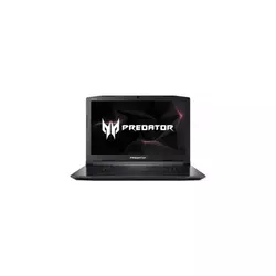 Acer Predator Helios 300 PH317-52-74VG Black (NH.Q3DEU.048)