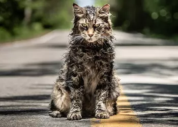 Вышел первый трейлер перезапуска «Кладбища домашних животных»