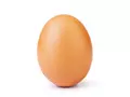 post_big/egg-instagram-regord.jpg