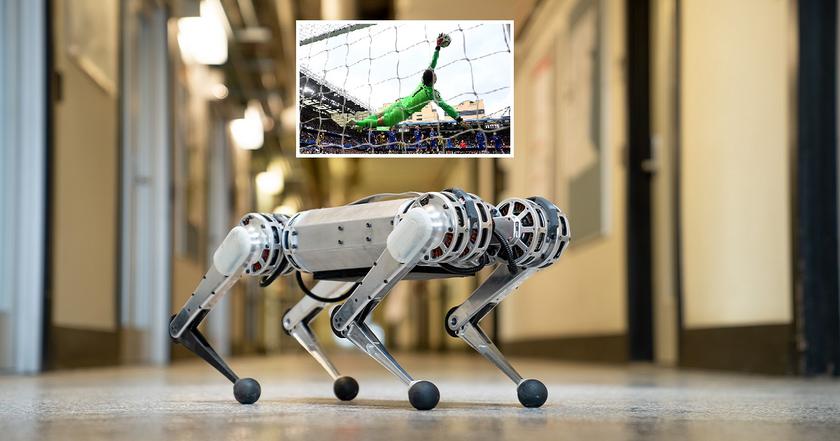 Роботизированный пёс Mini Cheetah стал футбольным вратарём – он защищает ворота эффективнее, чем голкиперы ЕПЛ
