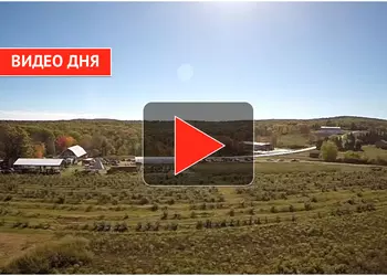 Самое нелепое крушение квадрокоптера