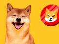 post_big/shiba-inu-3_TTUX9bz.jpg