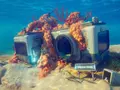 “Воздержитесь от скачивания”: авторы Subnautica 2 прокомментировали утечку и напомнили об опасностях пиратских сайтов