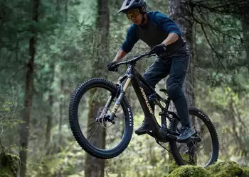 Sales of electric bikes from drone ...