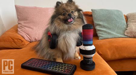 HyperX introduces gaming accessories... for pets
