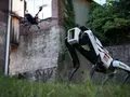 Железная дисциплина: Boston Dynamics и Asylon выпустили автономного робопса-охранника