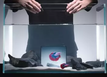 Складной смартфон Vivo X Fold 5 с новой батареей работает даже при -30°C