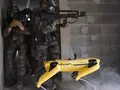 Французская армия тестирует робособаку Boston Dynamics на поле боя