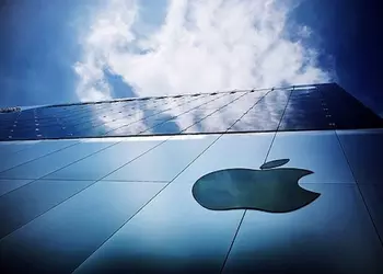 Записки маковода: маки для бизнеса