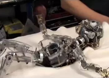 Чай с Бергамотом: роботы-джедаи, краш-тест котят и причудливые создания Джона Нолана