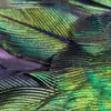 Превью интерьера Phantom Hummingbird