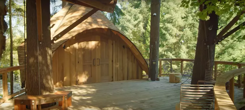 Сотрудники Microsoft будут работать на деревьях