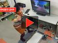 post_big/Riding-a-skateboard-in-virtual-reality1.jpg