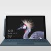 Microsoft-Surface Pro.jpg
