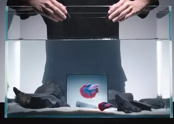 Vivo X Fold 5 можно погружать до 3 метров и складывать 1000 раз под водой (видео)