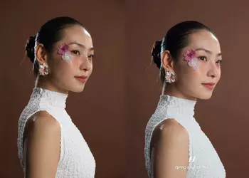 Камера Oppo Find X9 Pro против Hasselblad X2D II: смартфон за $1000 против камеры за $11 000