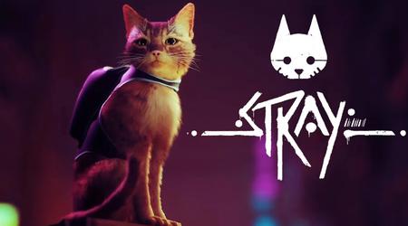Cyberpunk avec un chat : le hit indépendant Stray bénéficie d'une réduction de 35% sur Steam jusqu'au 3 juin