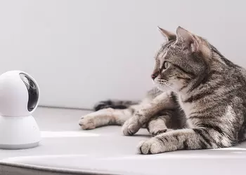 IP-камера Xiaomi MIJIA Smart PTZ Camera стоит дешевле $30