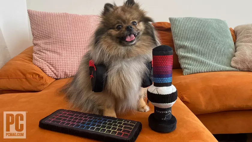 HyperX представила игровые аксессуары… для домашних животных