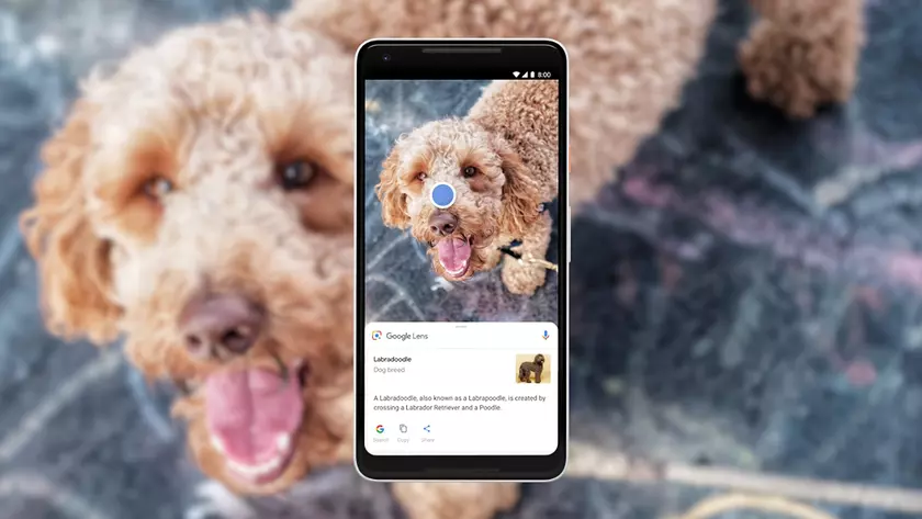 В веб-версии Google Photos появилась поддержка Google Lens