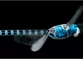 Видео дня: повторяющие движения животных летающие роботы, оправы для Google Glass