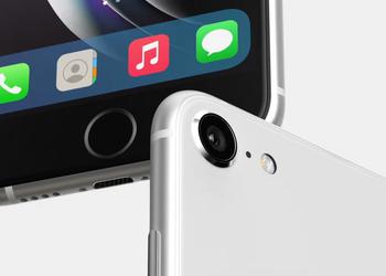 Источник: новые iPhone SE и iPad Air уже запущены в производство