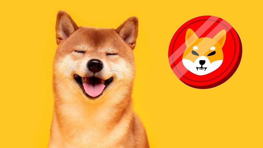 Пользователей интересует Shiba Inu – мемная криптовалюта стала популярнее, чем Bitcoin, Dogecoin и Ethereum