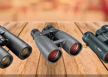 Best Bushnell Binoculars: Review and Comparison