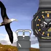 Превью часов Casio G-Shock Albatross