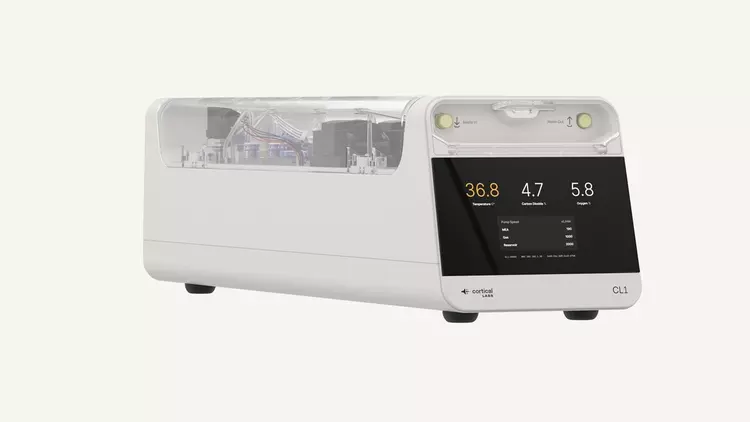 Мізки в серверній: Cortical Labs будує ...