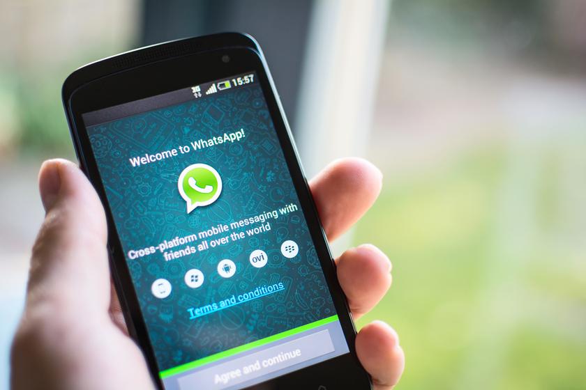 В последнем обновлении WhatsApp добавлена возможность делиться файлами